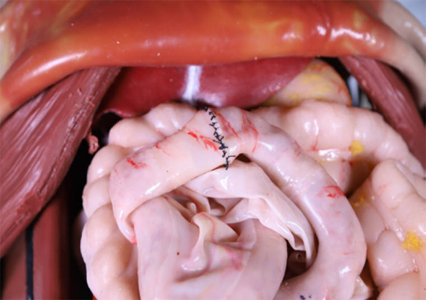 穿戴式胸腹手術(shù)訓練套裝平臺 3.0