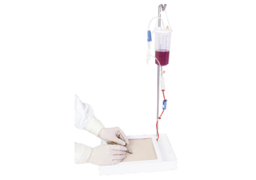 血管分離結扎訓練模型